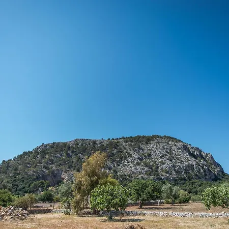 - 4974-94 Mallorca